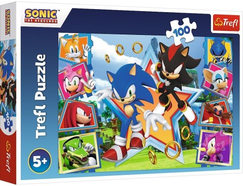 Trefl: Puzzle 100el. - Sonic