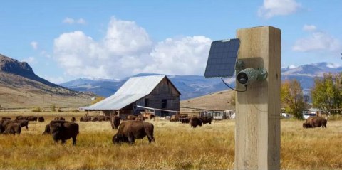 Kamera IP Reolink GO Series G330 z panelem solarnym