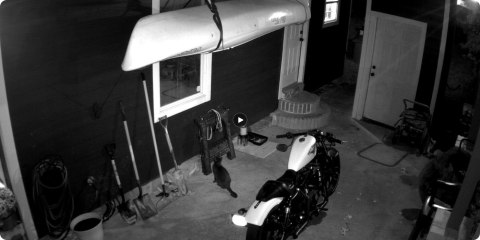 Kamera IP Reolink Argus Series B320 bateryjna 3MP Wi-Fi