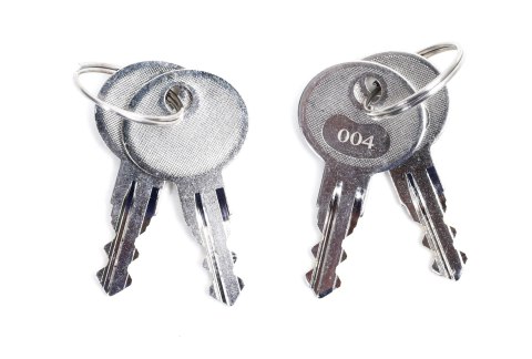 Zestaw Somfy Axovia 3S IO Comfort pack do 4m bram dwuskrzydłowych