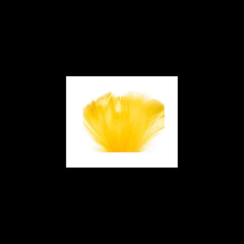 Piórka dekoracyjne - cytrynowe, żółte, 12 g