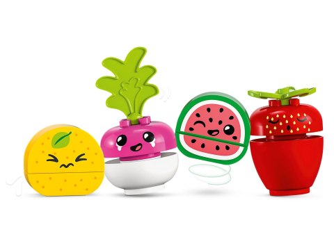 LEGO(R) DUPLO 10983 Ryneczek bio