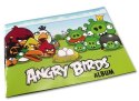 Album na naklejki | Angry Birds