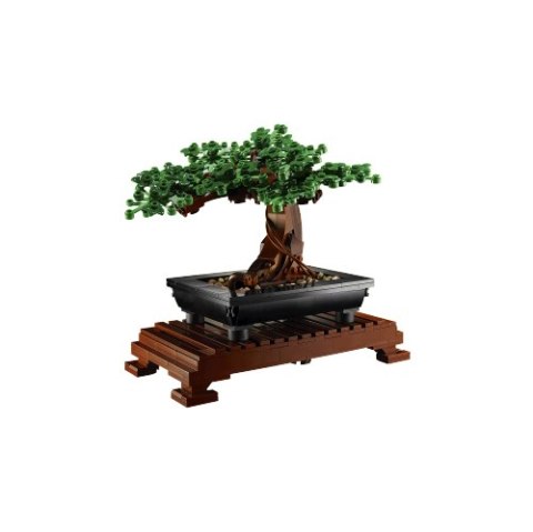 10281 | Drzewko bonsai