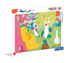 Puzzle 30el. Environments Ramkowe | Clementoni