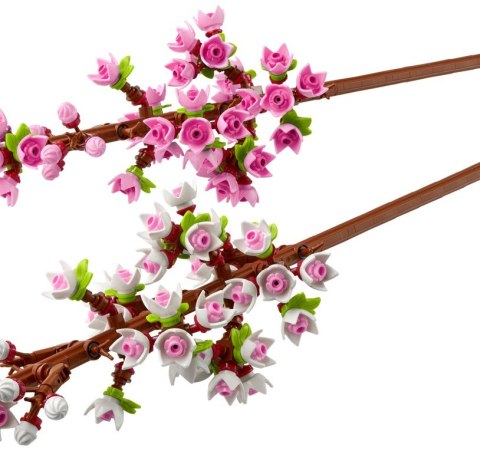 40725 | Kwiaty wiśni