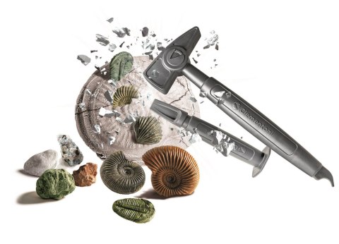 Skamieliny I Minerały | Naukowa zabawa