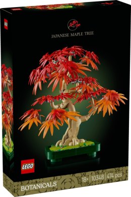 10348 | Klon Palmowy Bonsai