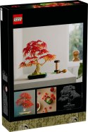 10348 | Klon Palmowy Bonsai