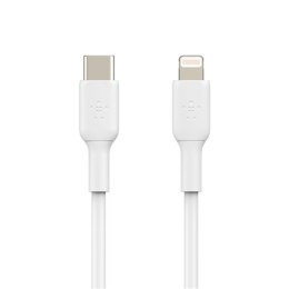 Belkin | Męski | Apple Lightning | Męski | Biały | 24-pinowy USB-C | 1 m