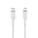 Belkin | Męski | Apple Lightning | Męski | Biały | 24-pinowy USB-C | 1 m