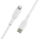 Belkin | Męski | Apple Lightning | Męski | Biały | 24-pinowy USB-C | 1 m