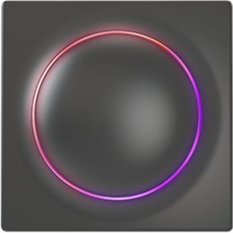 FIBARO Walli Controller, czarny, Z-Wave EU Fibaro | FGWCEU-201-8 | Walli Controller | czarny