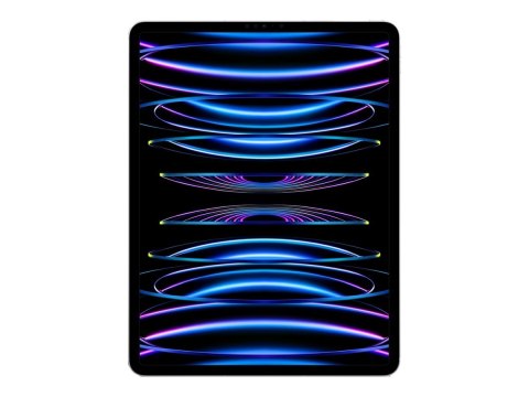 IPad Pro 12.9" Wi-Fi + Cellular 256GB - Silver 6th Gen | Apple