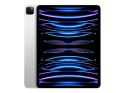 IPad Pro 12.9" Wi-Fi + Cellular 256GB - Silver 6th Gen | Apple