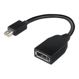 Lenovo 20 pin DisplayPort | żeński | Mini DisplayPort | męski | 0,176 m