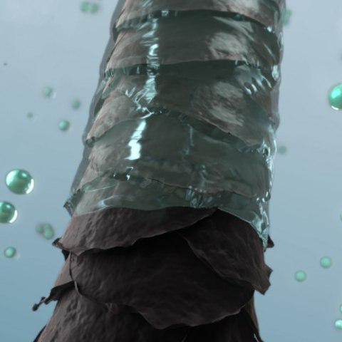 Panasonic Hair Dryer EH-NE85-K825, Black | Panasonic