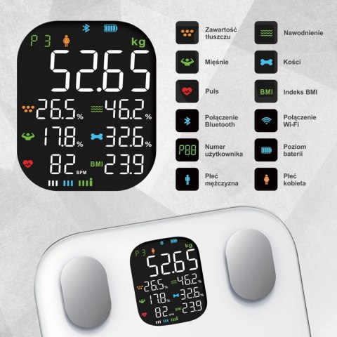 WAGA ŁAZIENKOWA Z POMIAREM TKANKI TŁUSZCZOWEJ I SKŁADU CIAŁA, SMART, BT, KLAUSBERG KB-7855 BIAŁA
