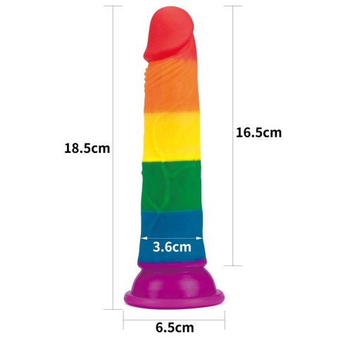DILDO 7'' PRIDER DILDO