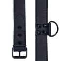 OBROŻA BONDAGE FETISH BLACK MATT COLLAR WITH LEASH
