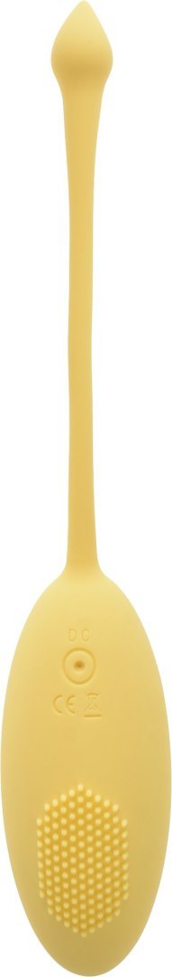 JAJKO WIBRATOR KATE REMOTE CONTROL PASSION LABS