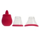 WIBRATOR CERISE PLEASURE KIT STIMULATOR