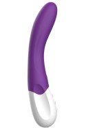 WIBRATOR LIEBE BEND IT RECHARGEABLE PURPLE