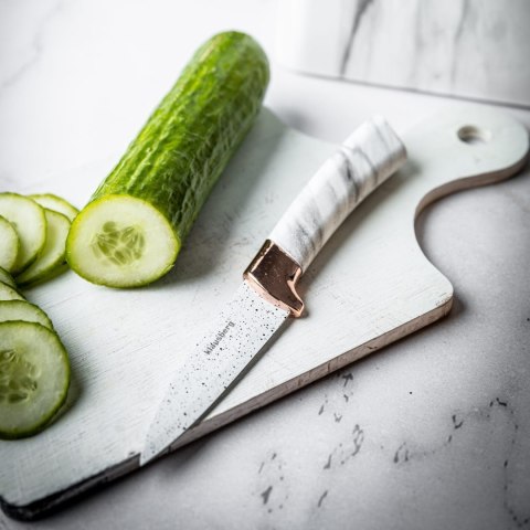 ZESTAW NOŻY KUCHENNYCH W BLOKU 5 EL. KLAUSBERG KB-7769