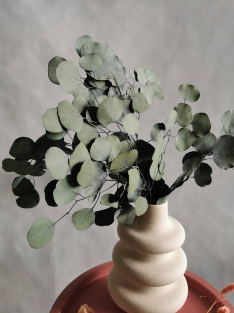 Sztuczne liście eukaliptusa, gałązka 3-ramienna omszona szaro zielona, 70cm