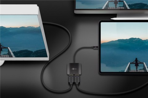 Goobay USB-C Adapter to 2x DisplayPort | 60171
