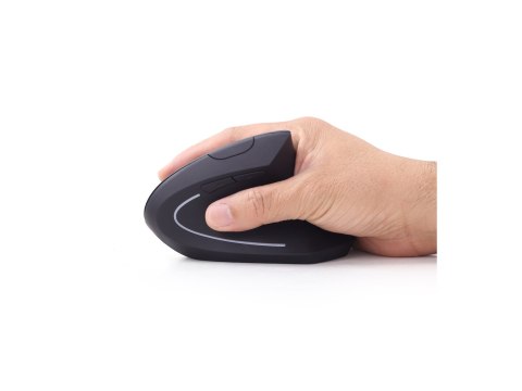 Gembird | Bezprzewodowa mysz optyczna 2,4 GHz | MUSW-ERGO-01 | Mysz optyczna | USB | Czarny