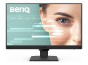 Benq | GW2490 | 24 " | IPS | 16:9 | 100 Hz | 5 ms | 1920 x 1080 pikseli | 250 cd/m² | 2 porty HDMI | Gwarancja 36 miesięcy