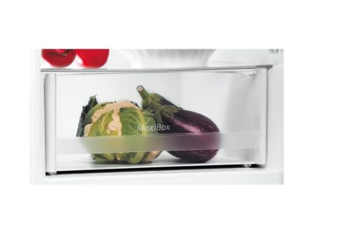 INDESIT | Chłodziarka | LI6 S2E W | Klasa efektywności energetycznej E | Wolnostojąca | Kombi | Wysokość 158,8 cm | Pojemność ch