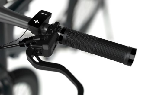 Sharp Hybrid E-Bike | 250 W | 21 " | 24 miesiące | Czarny