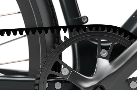 Sharp Hybrid E-Bike | 250 W | 21 " | 24 miesiące | Czarny