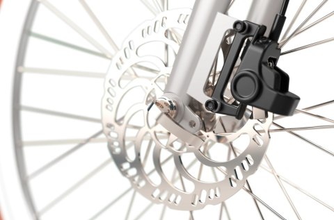 Sharp Hybrid E-Bike | 250 W | 21 " | 24 miesiące | Srebrny