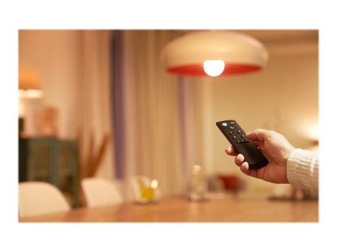 WiZ Pilot zdalnego sterowania Wizarding World