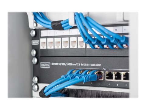 Digitus Wall-mounted housing 254 mm (10") | DN-10-09U | Grey | 31.2 x 30 cm