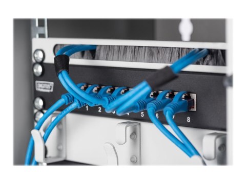 Digitus Wall-mounted housing 254 mm (10") | DN-10-09U | Grey | 31.2 x 30 cm