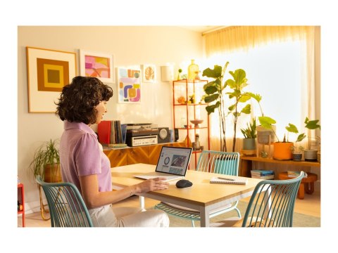 Logitech Silent Mouse | M240 | Wireless | Bluetooth | Graphite