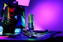Razer | Streaming Microphone | Seiren V3 | Wired | Chroma