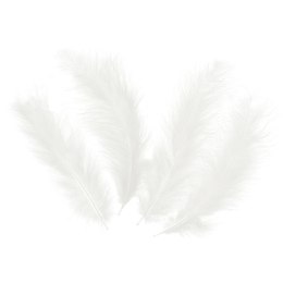 Piórka dekoracyjne Długie - Białe, 14cm, 100 sztuk