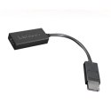 Adapter Lenovo - DisplayPort / HDMI - 22,5 cm