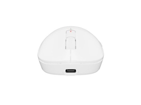 Fury Gaming Mouse | Tanto T4 | Wired/Wireless | 2.4 GHz, Bluetooth, USB | White