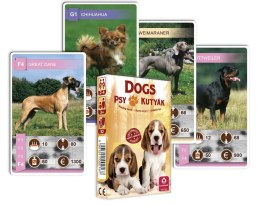 Kwartet | Psy | 32 karty do gry