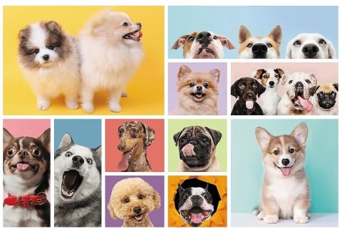 Trefl: Puzzle 160el. - Psia przyjaźń