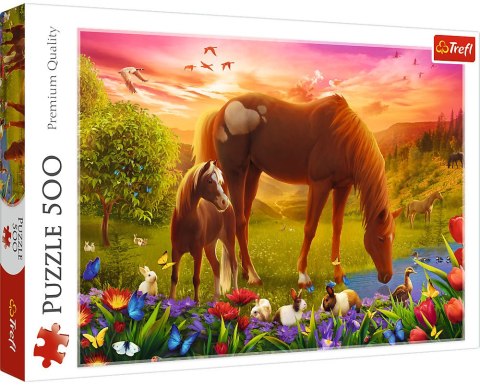Trefl: Puzzle 500el. - Konie na łące