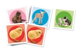 Memo Zwierzątka | Clementoni