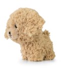 Teddy Pets - Maskotka Golden Poodle