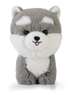 Teddy Pets - Maskotka Husky